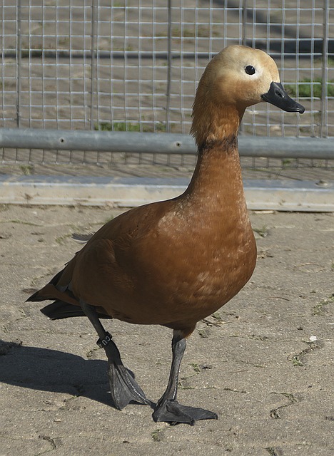 在日常生活