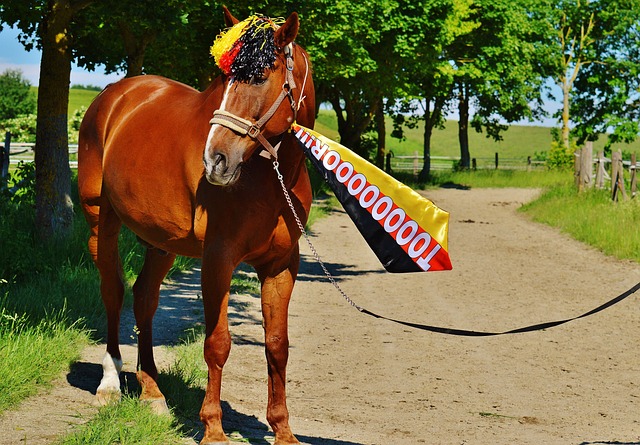 被迫更积极 被迫更积极