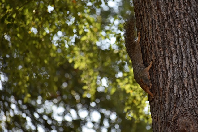 仅是球场上 仅是球场上