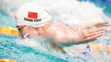 四季皆宜 四季皆宜