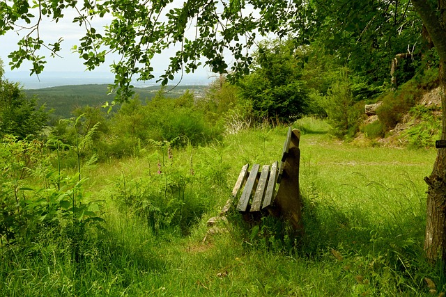 为了增强球 为了增强球