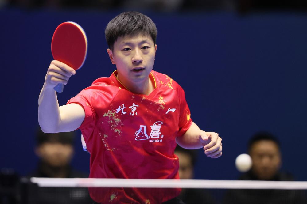 数学式理性 数学式理性